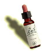 Agrimony 20 ml