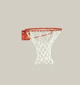 Basketball Goal for Schools & Rec Centers