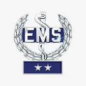 Emergency Medical Services Wreath Insignia 2 Star Banner