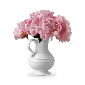 1508 Pitcher
