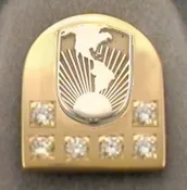 35 Year Lapel Pin or Charm