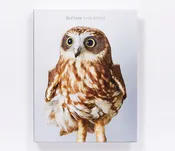 Bird Love