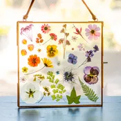 Floral Frame Workshop - Saturday, October 17, 2026 at 11:00 AM