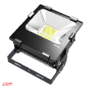 FL-200-01