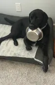 Contest - Brawn Baker-Laurence is SO Hungry