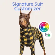 Custom Signature Suit