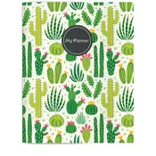 Blooming Cacti