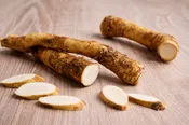 Big Top Horseradish Root Plant | Spicy High-Yield Root, Hardy Perennial, Non-GMO | Hand Picked Nursery
