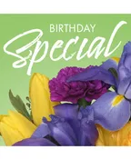 BIRTHDAY SPECIAL