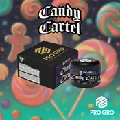 Candy Cartel 1g Live Rosin