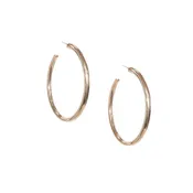 2 1/2" Hollow Post Hoop