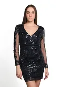 Cléa Sheer Mini Dress