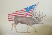 American Muley-Print