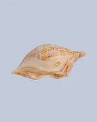 Golden Ribbon Flameworked Glass Seashell — Expressive Glass