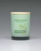 Cucumber &amp;amp; Aloe - 11oz Scented Candle