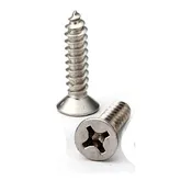 #10 x 2" Flat Head Phillips Wood Screw Zinc