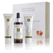 Arctic Berry Peel &amp; Peptide Illuminating System — Label Me Lindsay