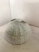 2 Piece White Ceramic Bird Dish