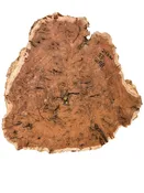 Australian Western Red Burl Slice - 20" x 19" x 1.75" WE1483