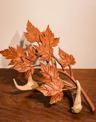 Antler With Maple Branch