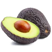 GEM Avocado Tree For Sale