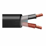 10 AWG 2 Conductor 10/2 Non-Shielded FREP Control Tray Cable UL Type TC Flat 600V E2 – Black – Cut to Length