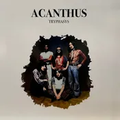 Acanthus – Tryphasys