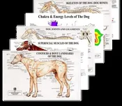 PetMassage Chart Complete Set
