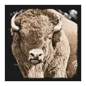 Buffalo Bandana