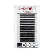 CLASSIC LASH TRAY (12 LINE) - B CURL