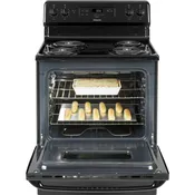 BLACK ELECTRIC 5.0 CU. FT. STOVE