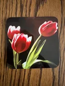 Coasters with stand - Square w/Cork Bottom