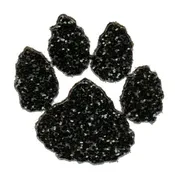 Paws