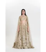 Abhinav Mishra Chandani Abhinav Lehenga Set