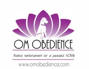 Adolescent Play Group — OM OBEDIENCE