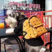 Bark Dog Backpack