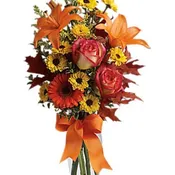 Fall Designer's Choice