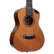 Craig & Sarah Artist Series Tenor