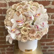 Orchid Creamery - Buzzy Bee Flowers