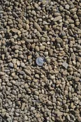 3/8" Pea Gravel