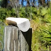 Half Cut Elk Antler 7"-9"  ( 2 per bag)