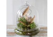 10" x 11 3/8" Terrarium Cloche Glass Cover Dome (1 set)