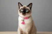 Cat Collar-Adjustable Pink with Tassel and Bell