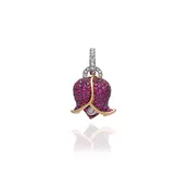 Chantecler Bouganville Campanella