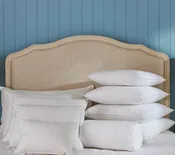 Bergen Down-Free Pillow Inserts