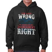2nd Amendment Right Hoodie