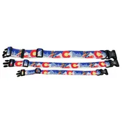 Breckenridge Snowboarding Dog Collar