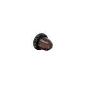 Acorns | Small-Large