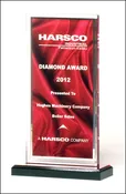 Acrylic Engraved Trophy with Color Silk Graphic - 7-1/2''