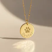 Paw Print Disc Necklace, Custom Pet Name Dog Memorial Jewelry Gift